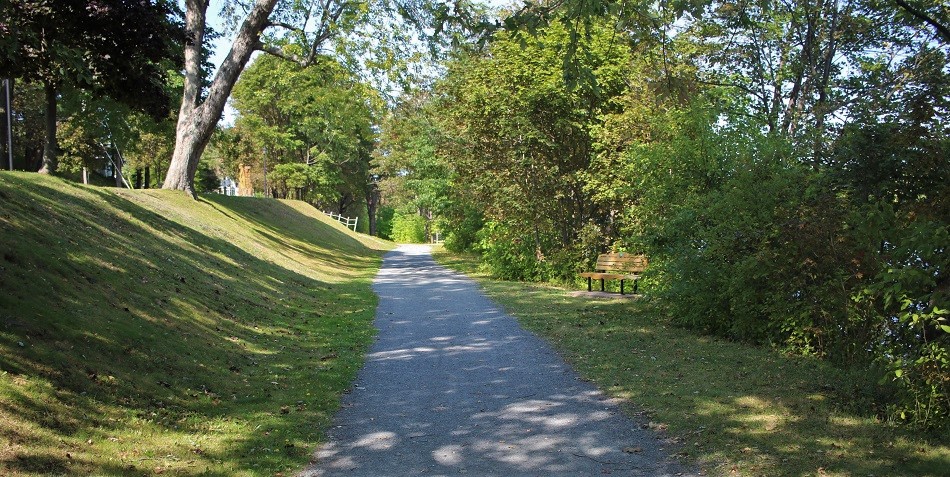 SamsonTrailThroughCarmichaelPark.jpg