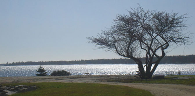 BarringtonBayTrailpic.jpg