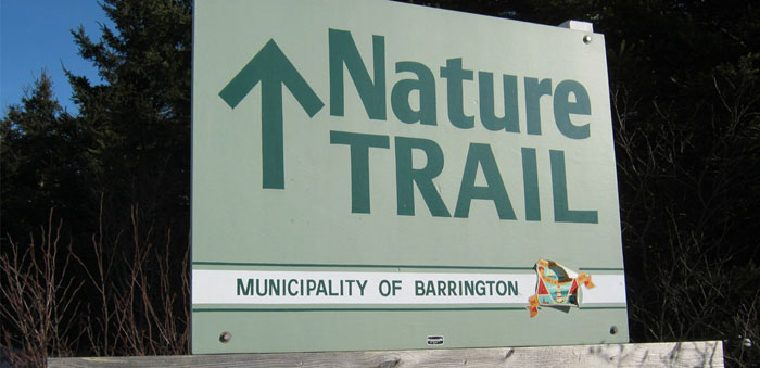 SheroseIslandNatureTrailpic.jpg