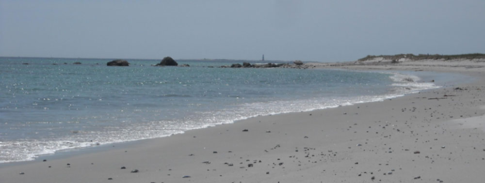 southsidebeachpic.jpg