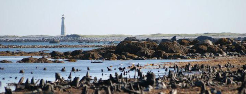 thehawkbeachpic2.jpg